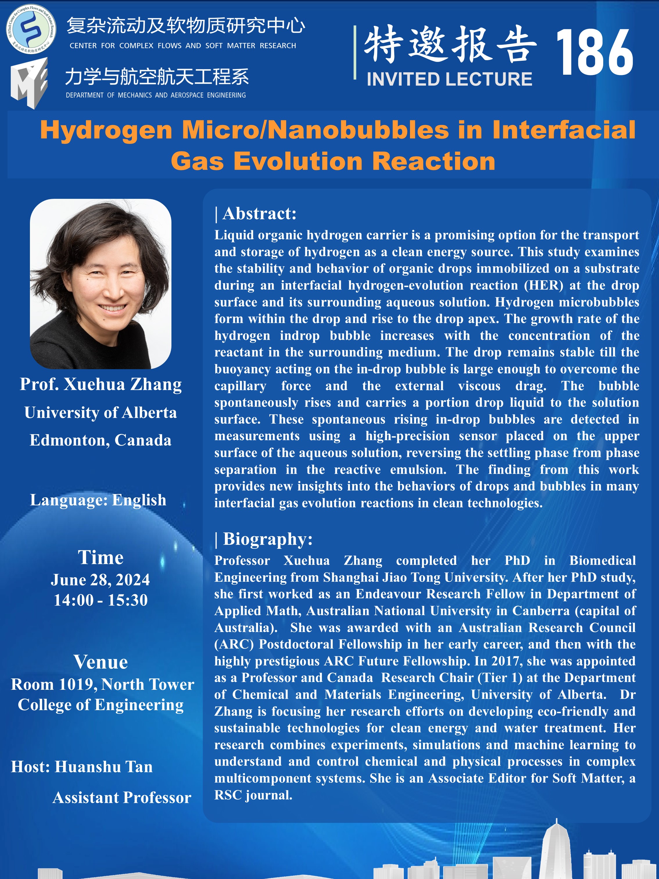 Hydrogen Micro/Nanobubbles in Interfacial Gas Evolution Reaction